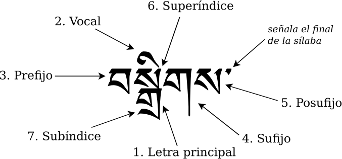 Partes de las sílabas